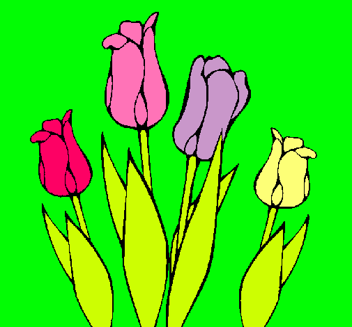 Tulipanes