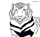 Dibujo Tigre pintado por DANIEL