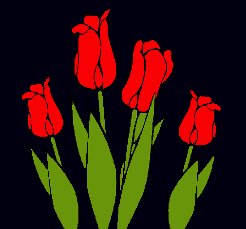 Tulipanes