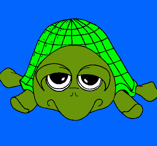 Tortuga