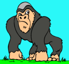 Dibujo Gorila pintado por johel