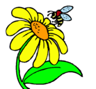 Dibujo Margarita con abeja pintado por MARIO