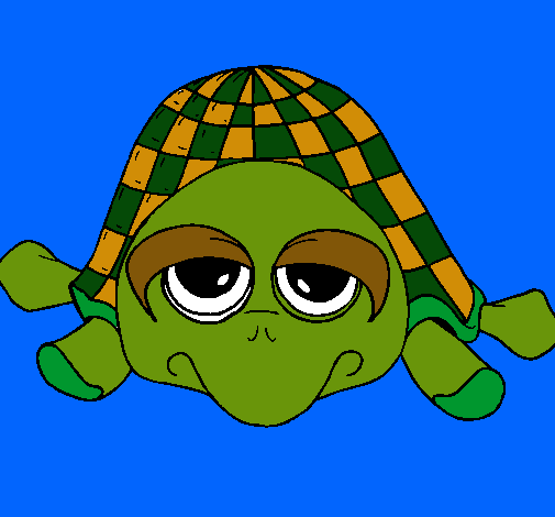 Tortuga