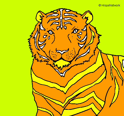 Tigre