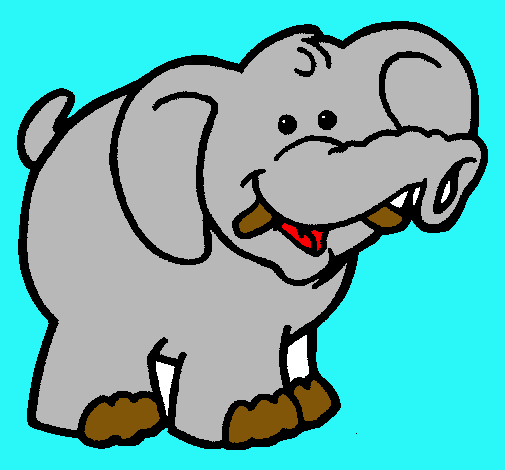 Elefante