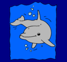 Dibujo Delfín pintado por bautiyjime