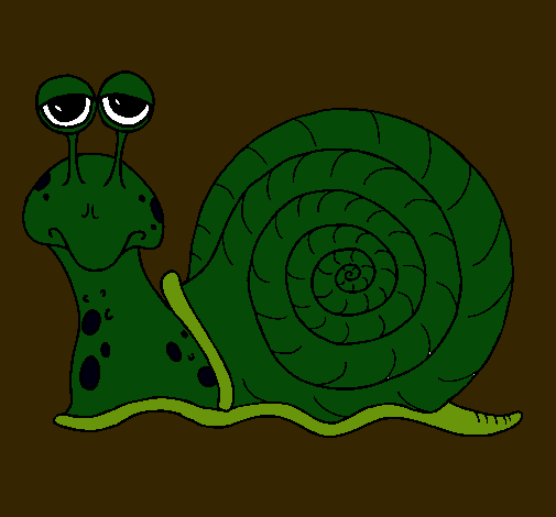 Caracol