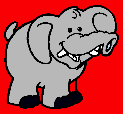 Elefante