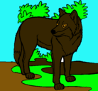 Dibujo Lobo pintado por bruno