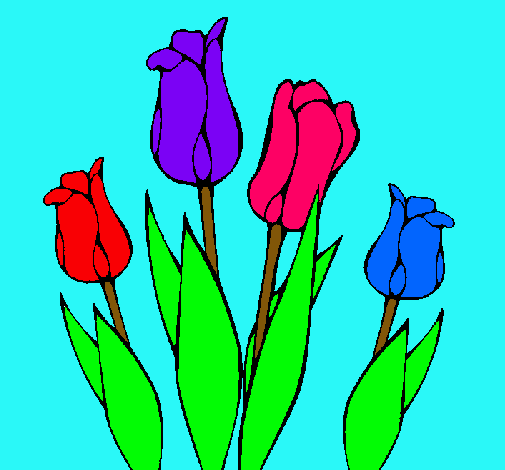 Tulipanes