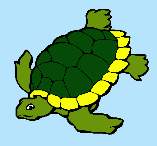 Tortuga