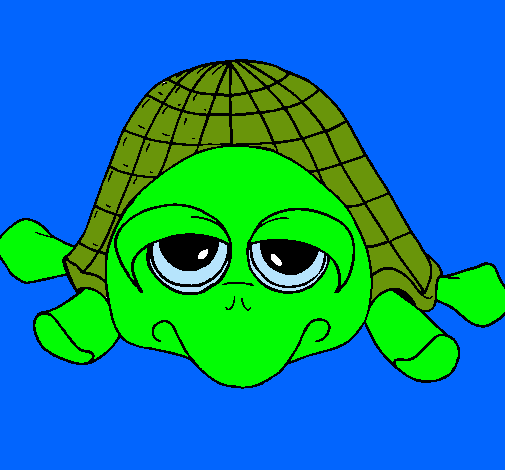 Tortuga