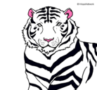 Dibujo Tigre pintado por JONATAN