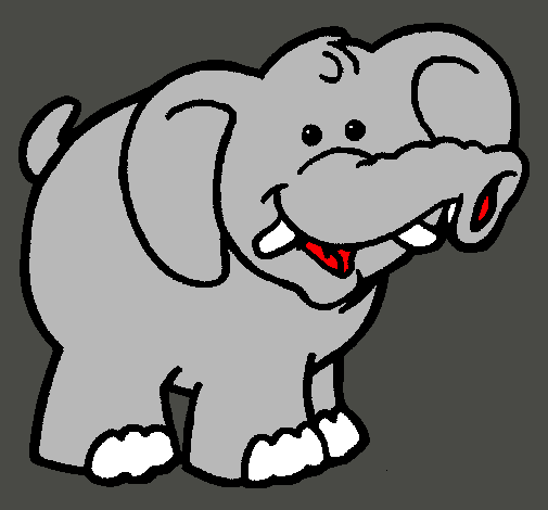 Elefante