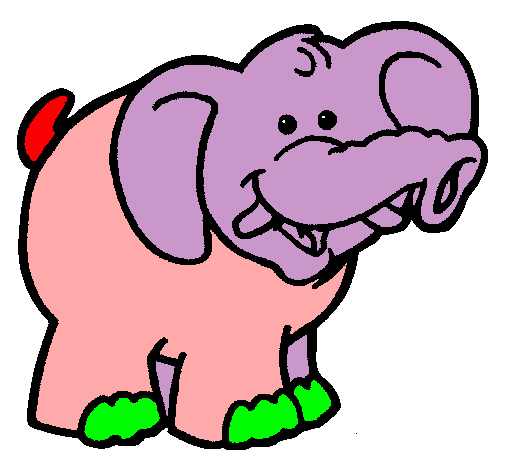 Elefante