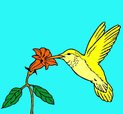 Colibrí y una flor