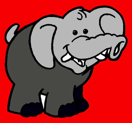 Elefante