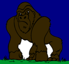 Dibujo Gorila pintado por dito