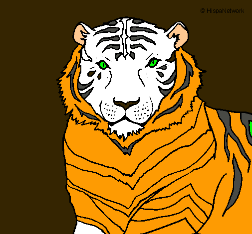 Tigre