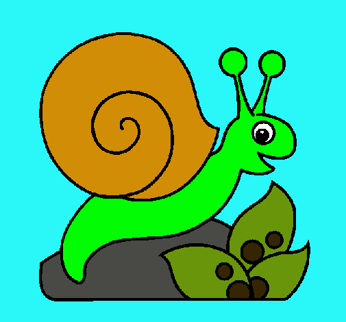 Caracol