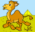 Dibujo Camello pintado por Minitigresa