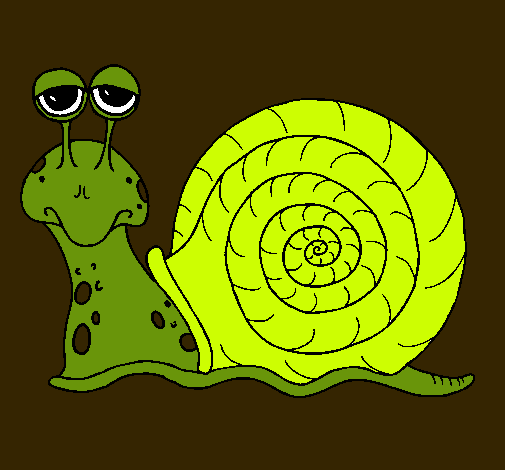 Caracol