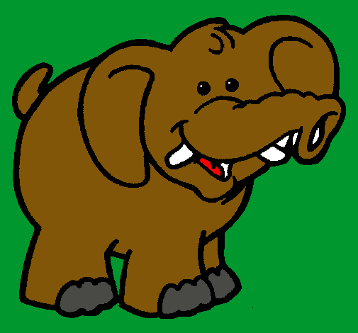 Elefante