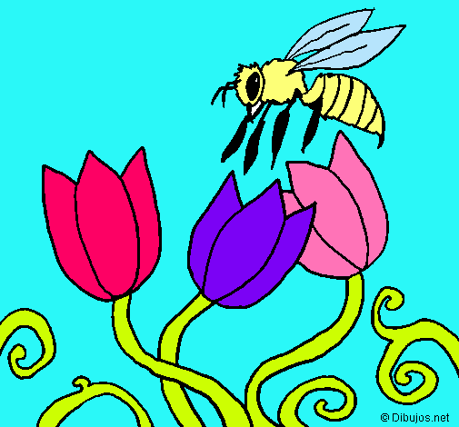 Abeja