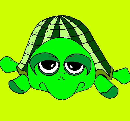 Tortuga