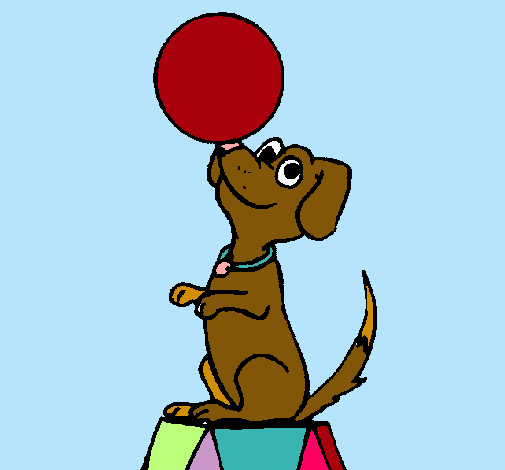 Perro de circo