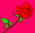 Dibujo Rosa pintado por oriana