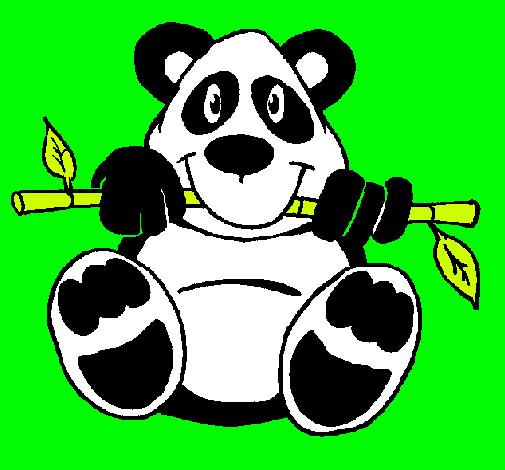 Oso panda