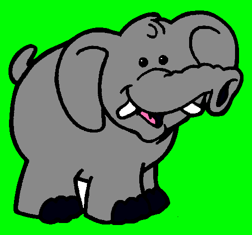 Elefante