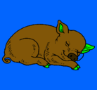 Dibujo Cerdo durmiendo pintado por Santiago