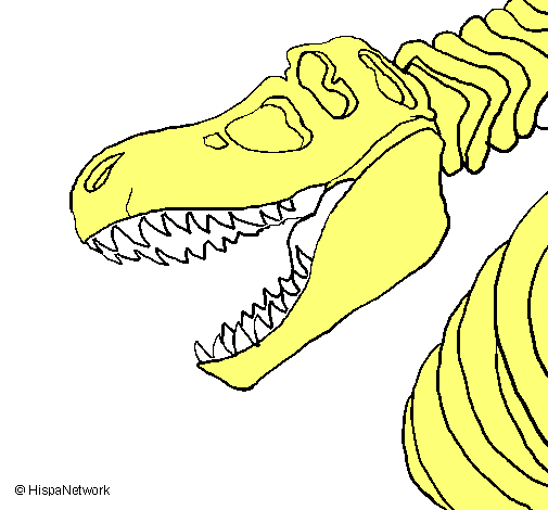 Esqueleto tiranosaurio rex