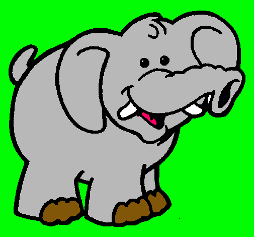 Elefante