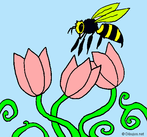 Abeja