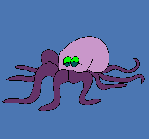 Pulpo