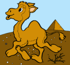 Dibujo Camello pintado por melani