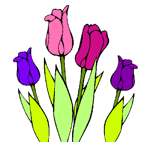 Tulipanes