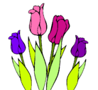 Dibujo Tulipanes pintado por miriam