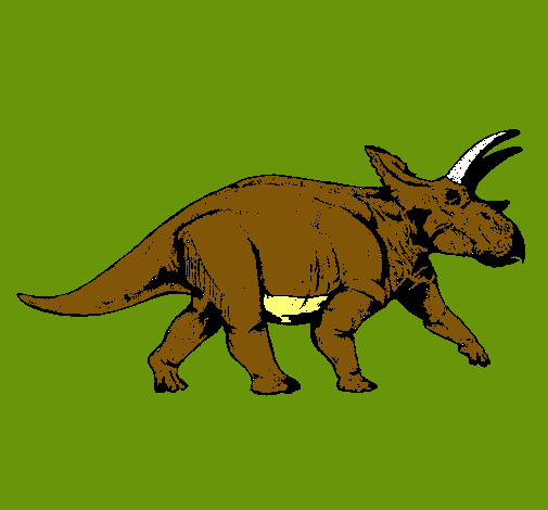 Triceratops