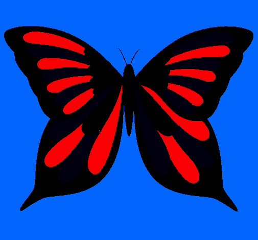 Mariposa