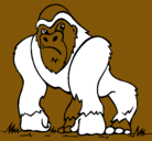 Dibujo Gorila pintado por dreykell