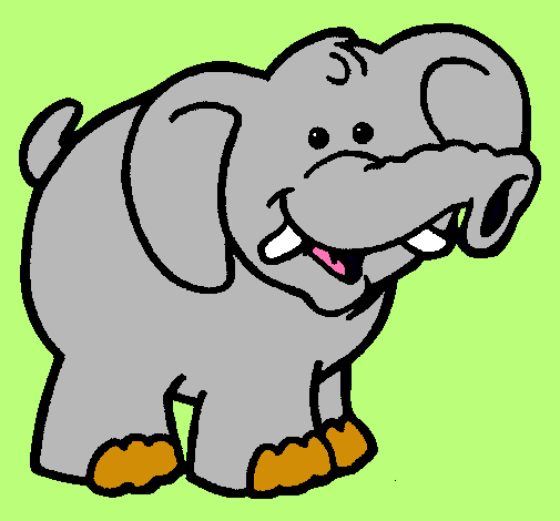 Elefante