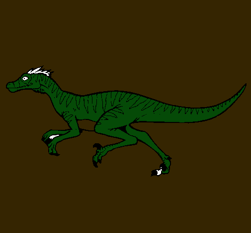 Velociraptor