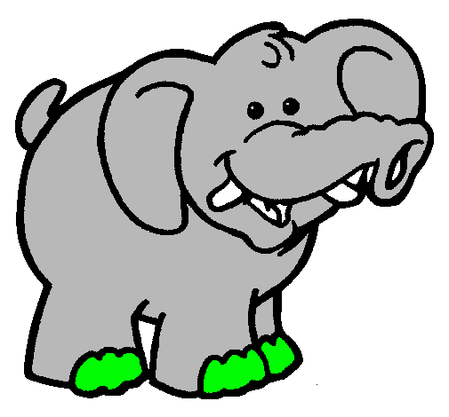 Elefante