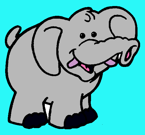 Elefante