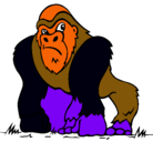 Dibujo Gorila pintado por tomas