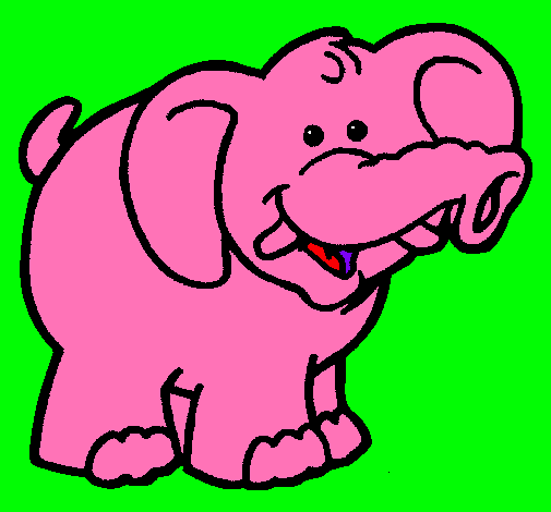 Elefante